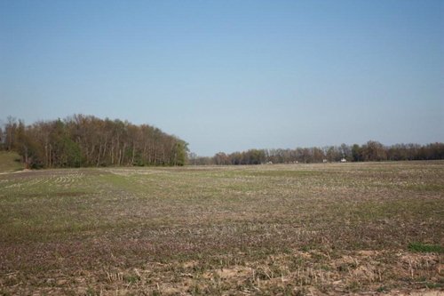 Property photo 13 - 641 Acres Offered in 16 Tracts - 545 Cropland Acres